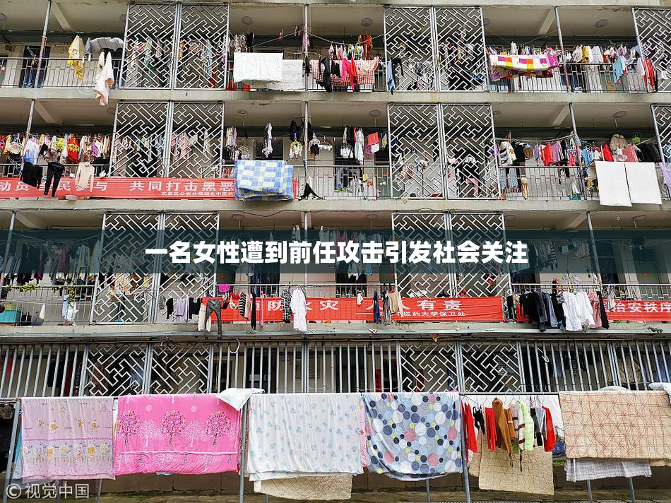 一名女性遭到前任攻击引发社会关注