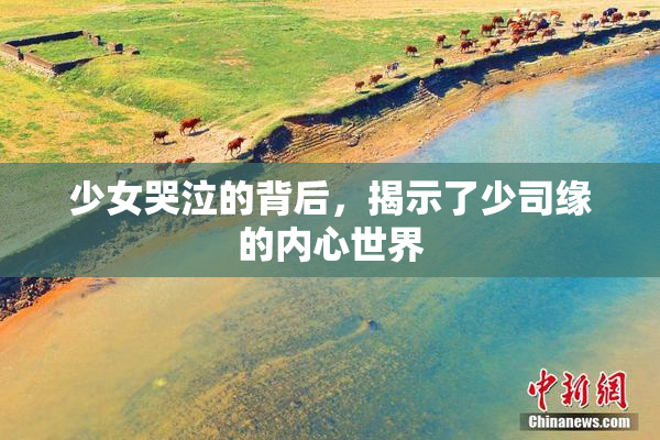 少女哭泣的背后，揭示了少司缘的内心世界