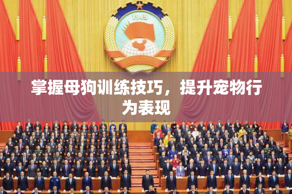 掌握母狗训练技巧，提升宠物行为表现