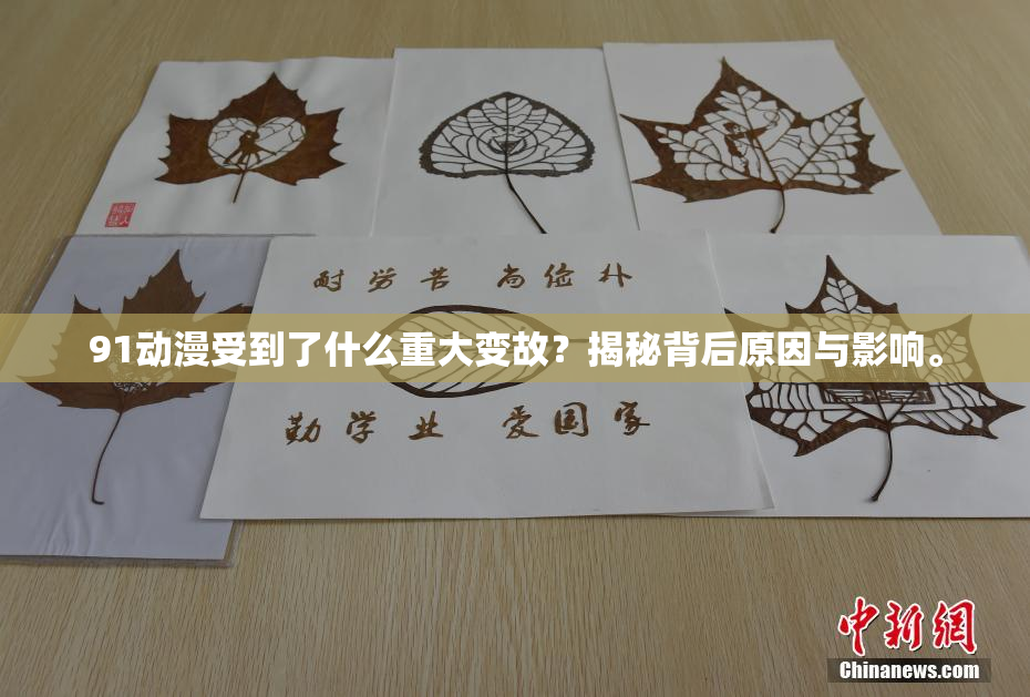 91动漫受到了什么重大变故？揭秘背后原因与影响。