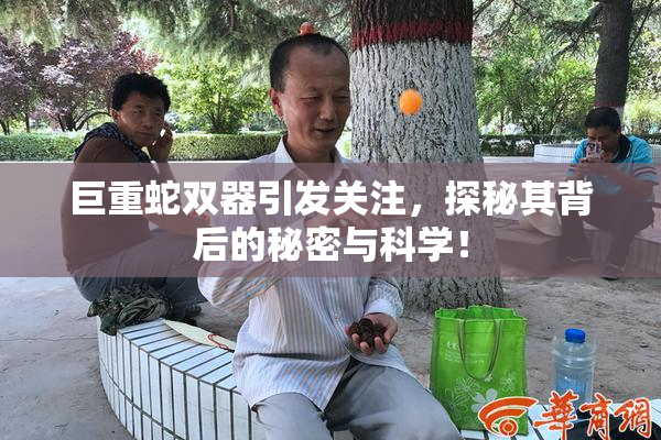 巨重蛇双器引发关注，探秘其背后的秘密与科学！