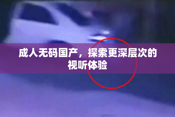 成人无码国产，探索更深层次的视听体验