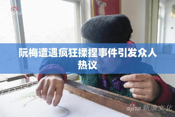 阮梅遭遇疯狂揉捏事件引发众人热议