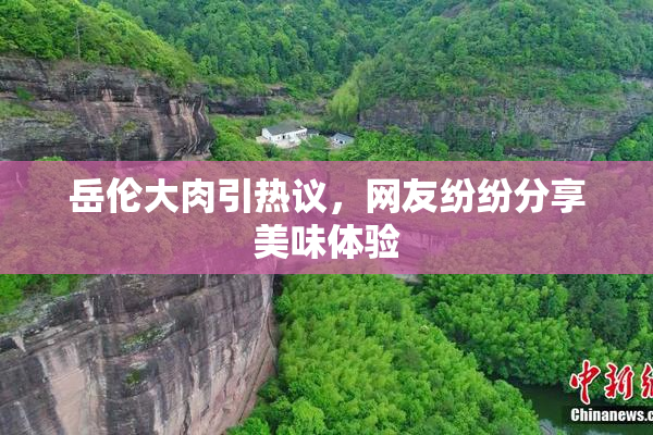 岳伦大肉引热议，网友纷纷分享美味体验