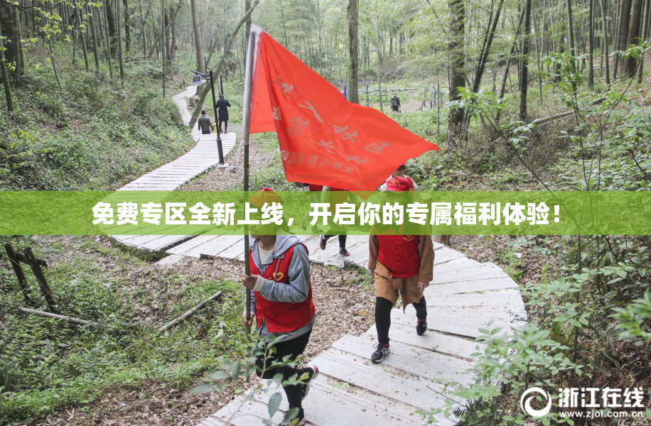 免费专区全新上线，开启你的专属福利体验！