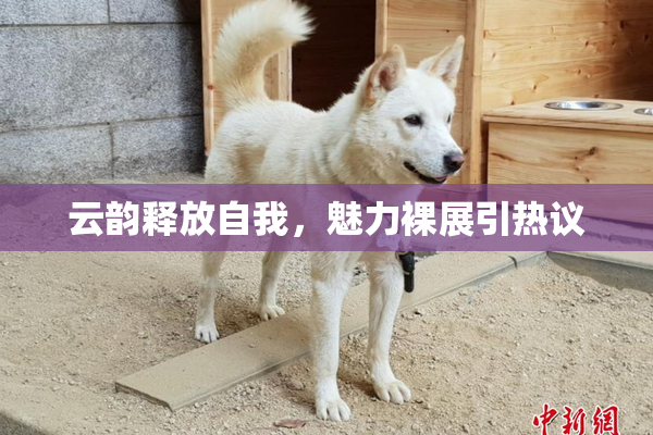 云韵释放自我，魅力裸展引热议