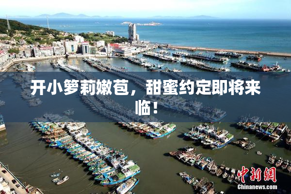 开小箩莉嫩苞，甜蜜约定即将来临！