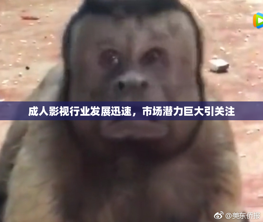 成人影视行业发展迅速，市场潜力巨大引关注