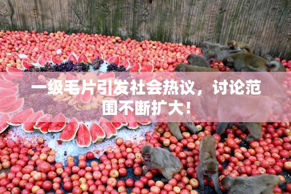 一级毛片引发社会热议，讨论范围不断扩大！