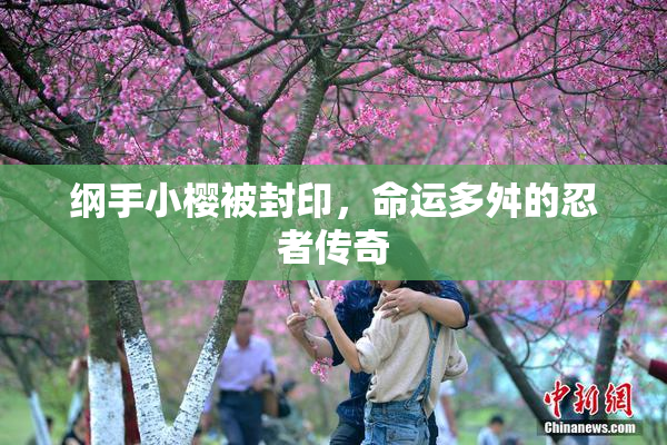 纲手小樱被封印，命运多舛的忍者传奇