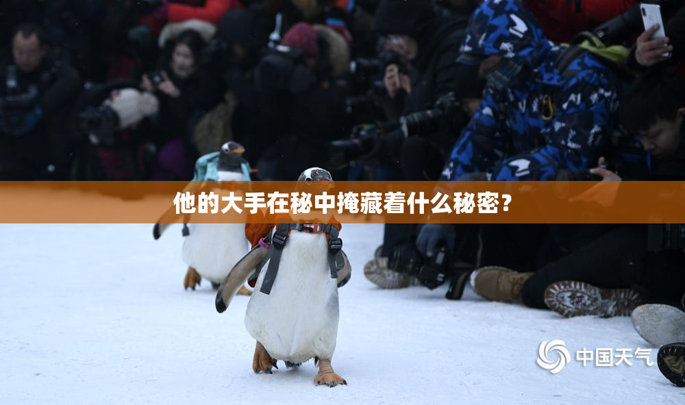他的大手在秘中掩藏着什么秘密？