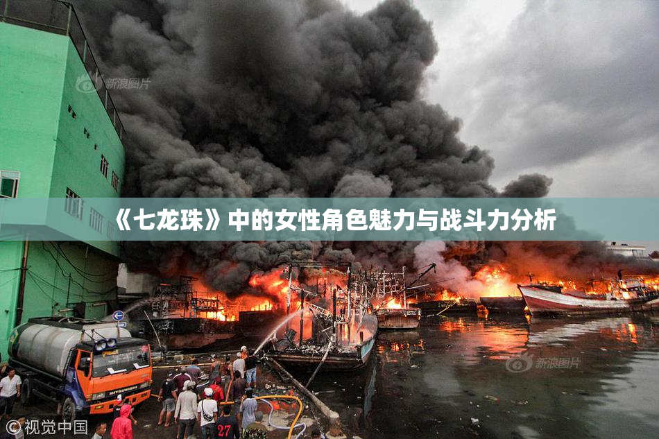 《七龙珠》中的女性角色魅力与战斗力分析