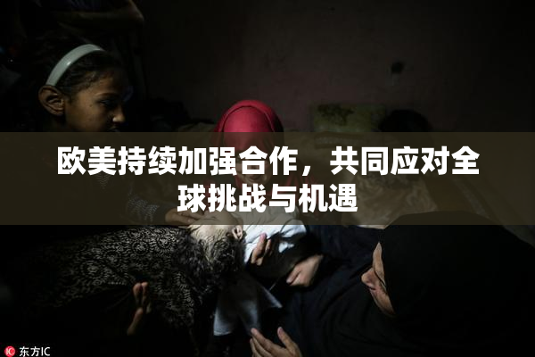 欧美持续加强合作，共同应对全球挑战与机遇