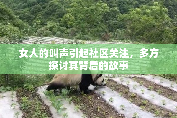 女人的叫声引起社区关注，多方探讨其背后的故事