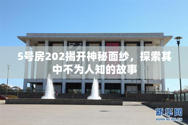 5号房202揭开神秘面纱，探索其中不为人知的故事