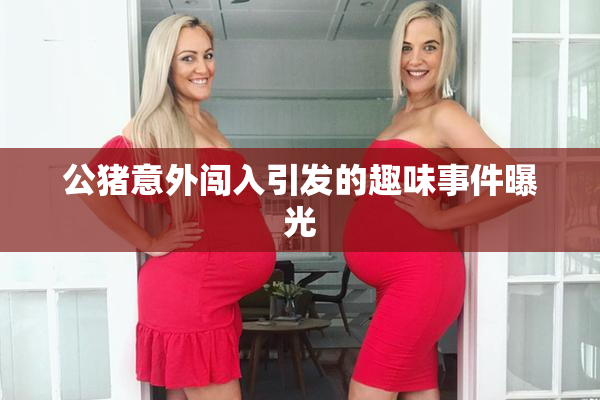 公猪意外闯入引发的趣味事件曝光