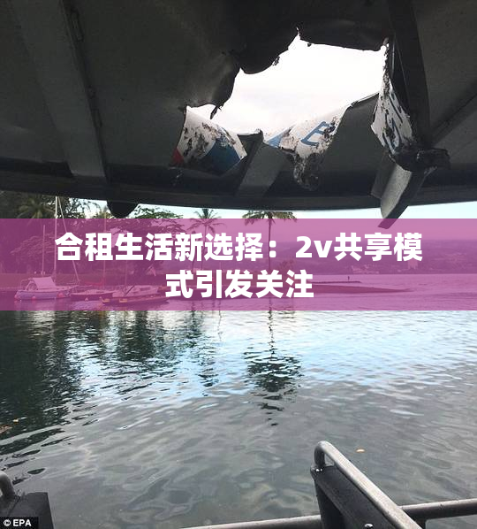 合租生活新选择：2v共享模式引发关注