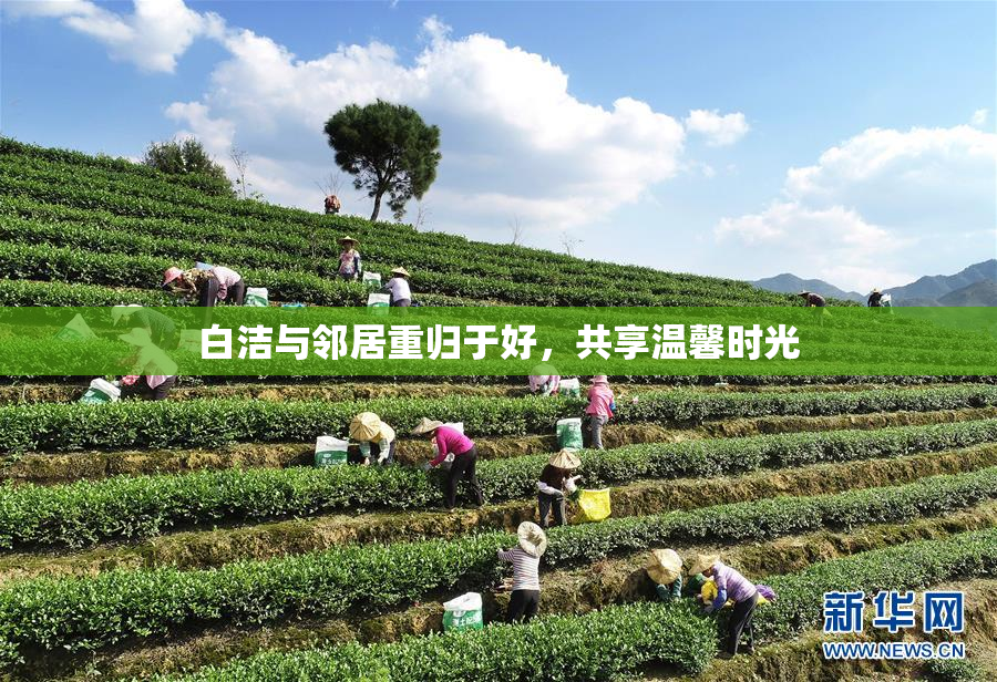 白洁与邻居重归于好，共享温馨时光
