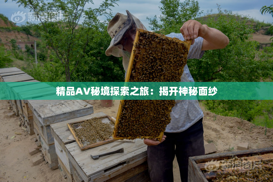 精品AV秘境探索之旅：揭开神秘面纱