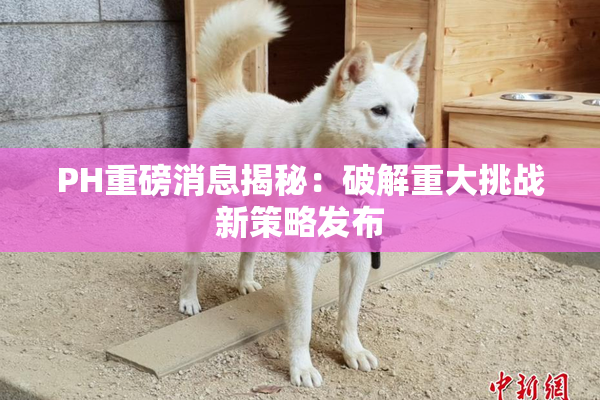 PH重磅消息揭秘：破解重大挑战新策略发布