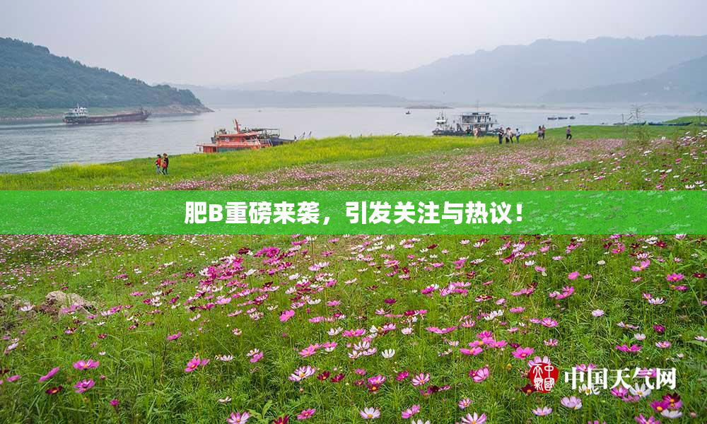 肥B重磅来袭，引发关注与热议！