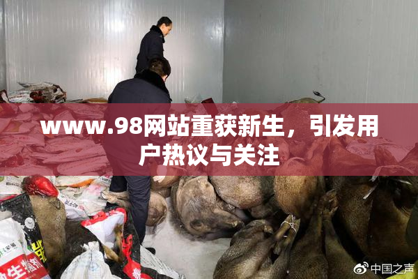 www.98网站重获新生，引发用户热议与关注