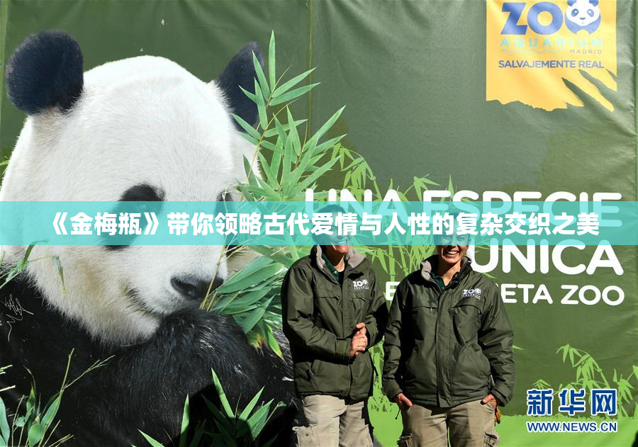 《金梅瓶》带你领略古代爱情与人性的复杂交织之美