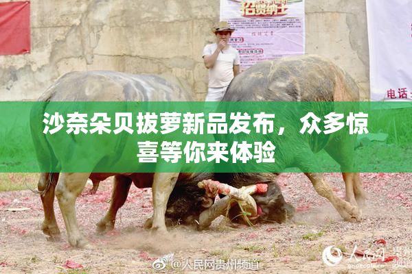 沙奈朵贝拔萝新品发布，众多惊喜等你来体验