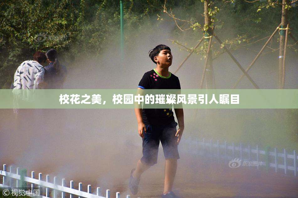 校花之美，校园中的璀璨风景引人瞩目