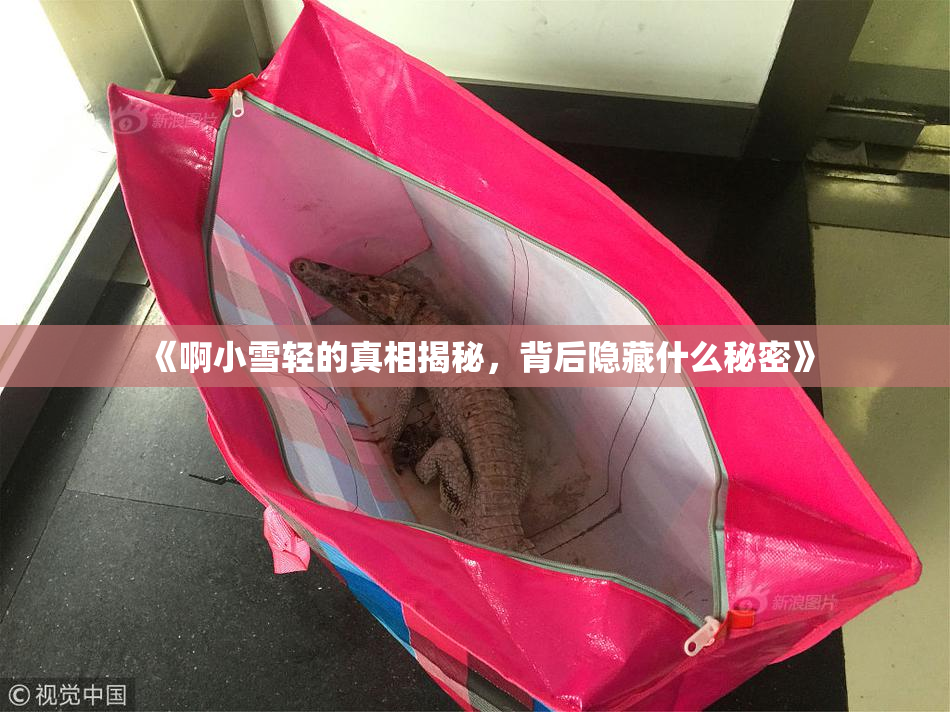 《啊小雪轻的真相揭秘，背后隐藏什么秘密》