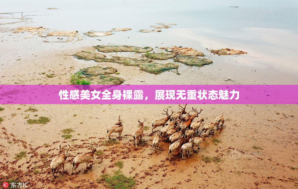 性感美女全身裸露，展现无重状态魅力