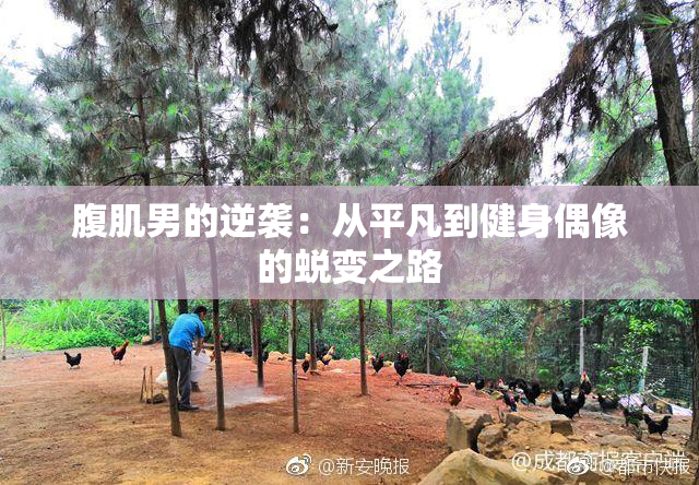 腹肌男的逆袭：从平凡到健身偶像的蜕变之路