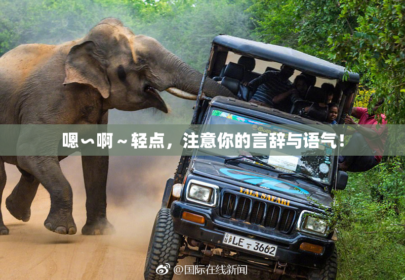 嗯∽啊～轻点，注意你的言辞与语气！