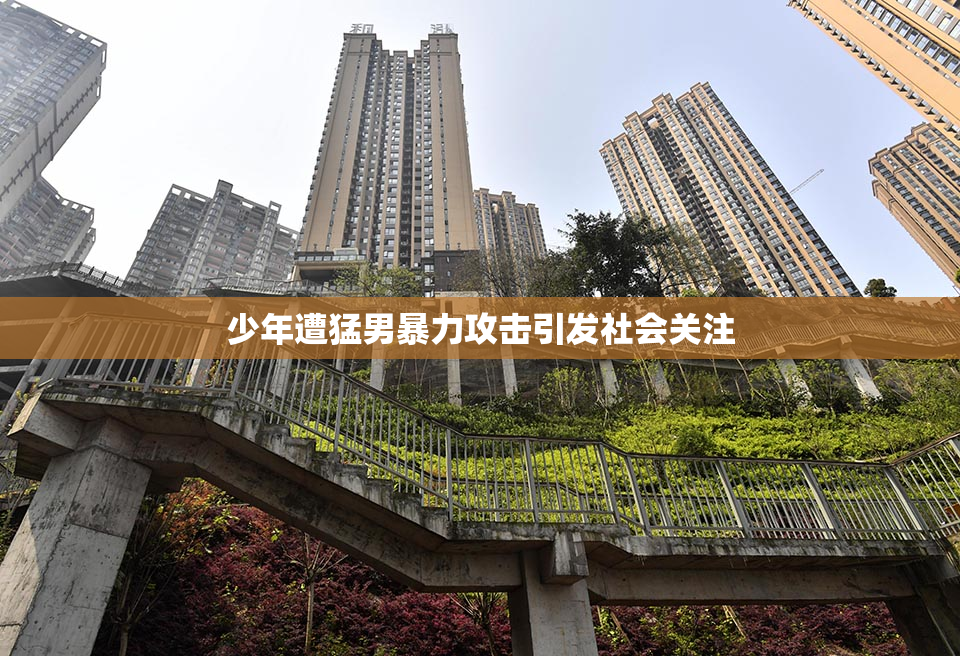少年遭猛男暴力攻击引发社会关注