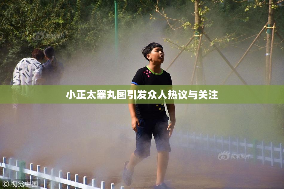 小正太睾丸图引发众人热议与关注