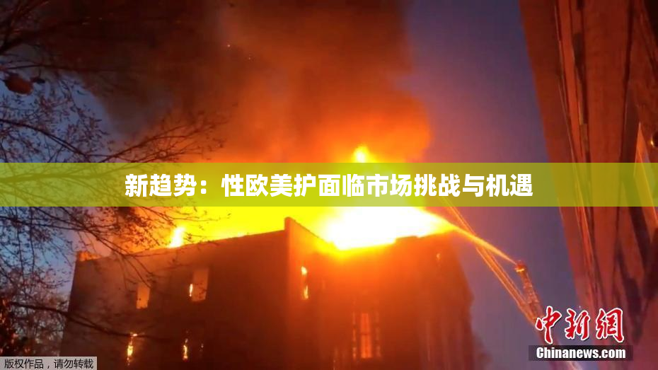 新趋势：性欧美护面临市场挑战与机遇