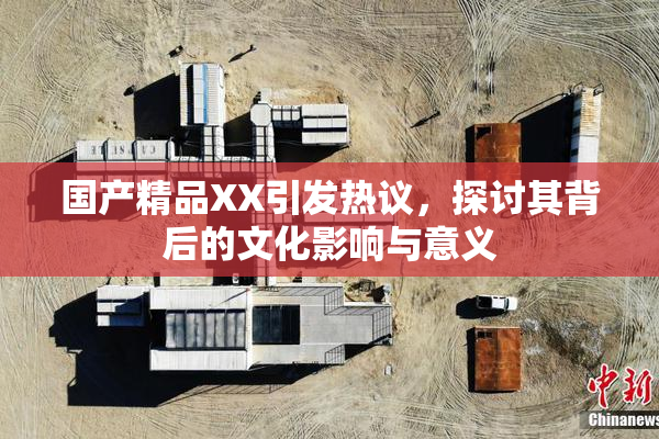 国产精品XX引发热议，探讨其背后的文化影响与意义