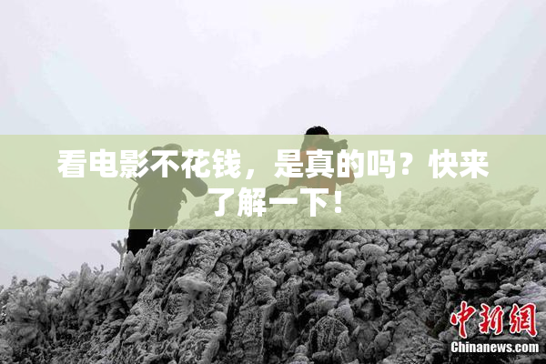 看电影不花钱，是真的吗？快来了解一下！