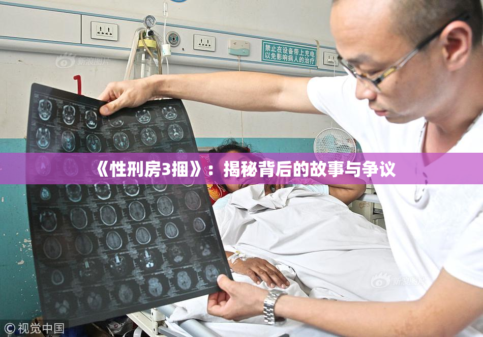 《性刑房3捆》：揭秘背后的故事与争议