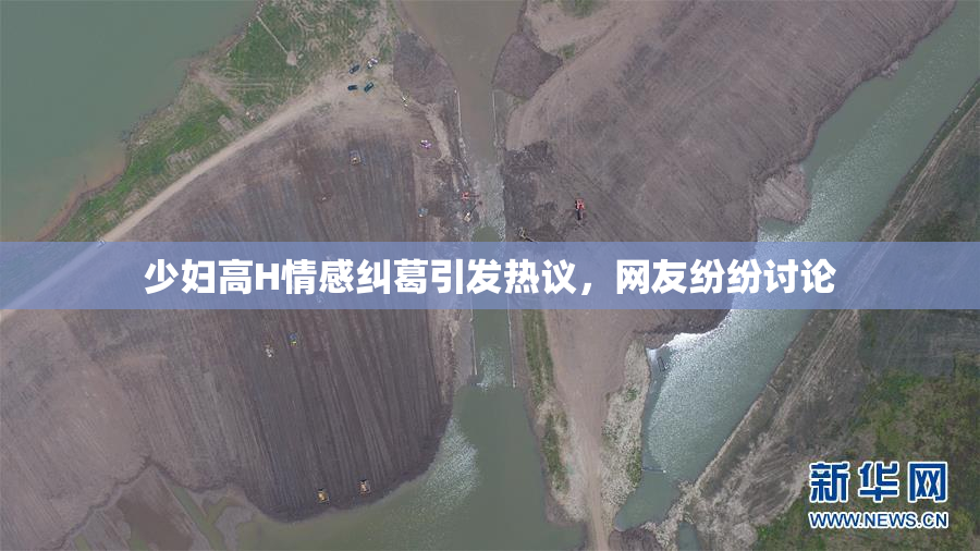 少妇高H情感纠葛引发热议，网友纷纷讨论