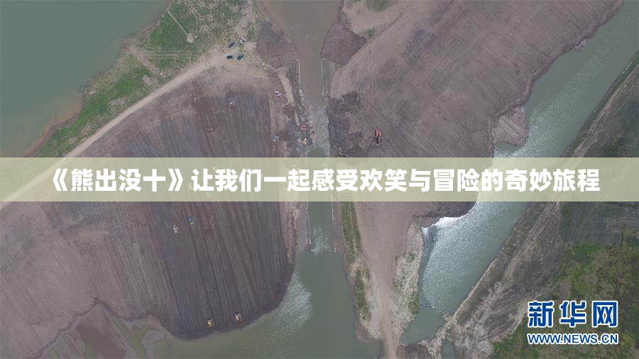 《熊出没十》让我们一起感受欢笑与冒险的奇妙旅程