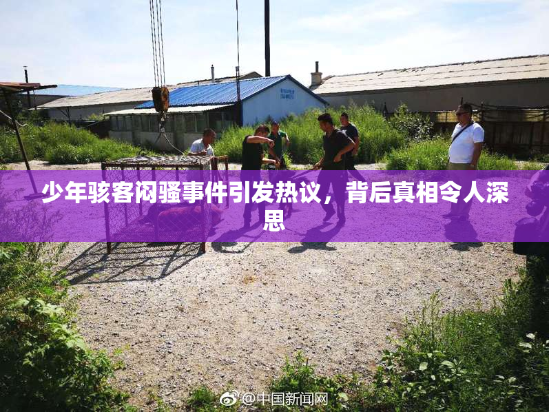 少年骇客闷骚事件引发热议，背后真相令人深思