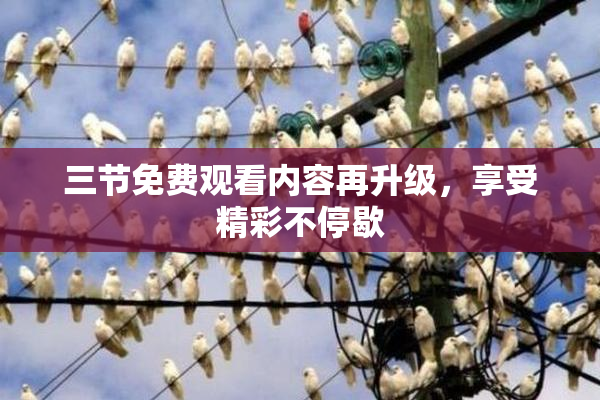 三节免费观看内容再升级，享受精彩不停歇