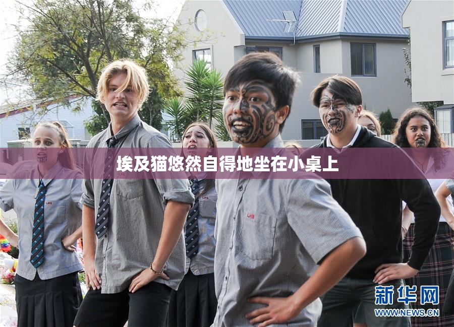 埃及猫悠然自得地坐在小桌上