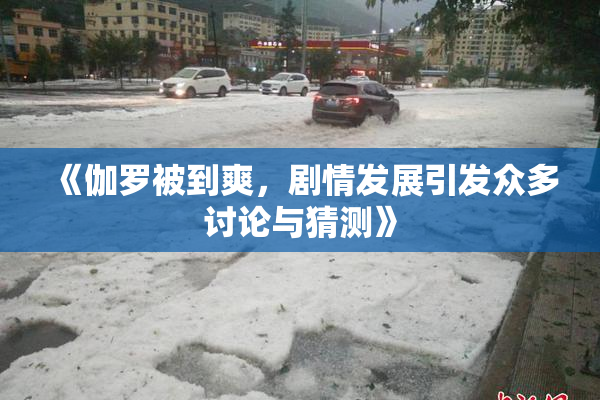《伽罗被到爽，剧情发展引发众多讨论与猜测》