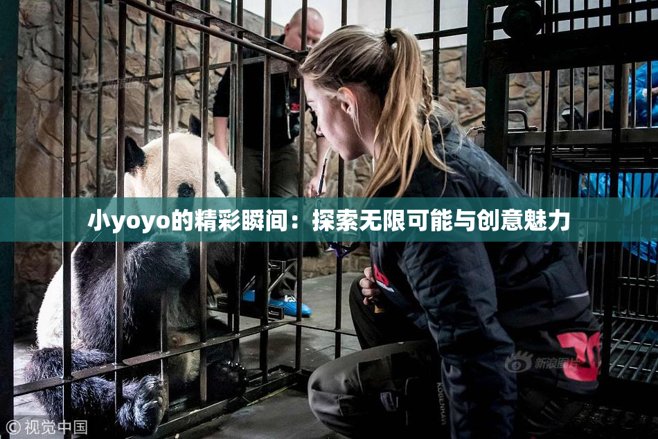 小yoyo的精彩瞬间：探索无限可能与创意魅力