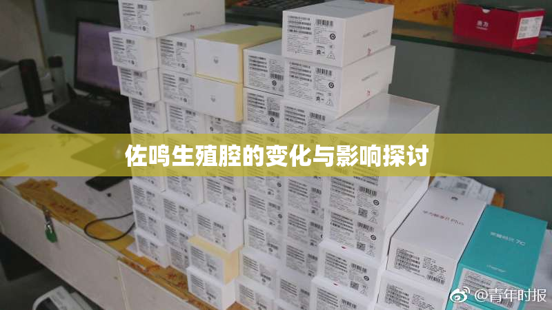 佐鸣生殖腔的变化与影响探讨