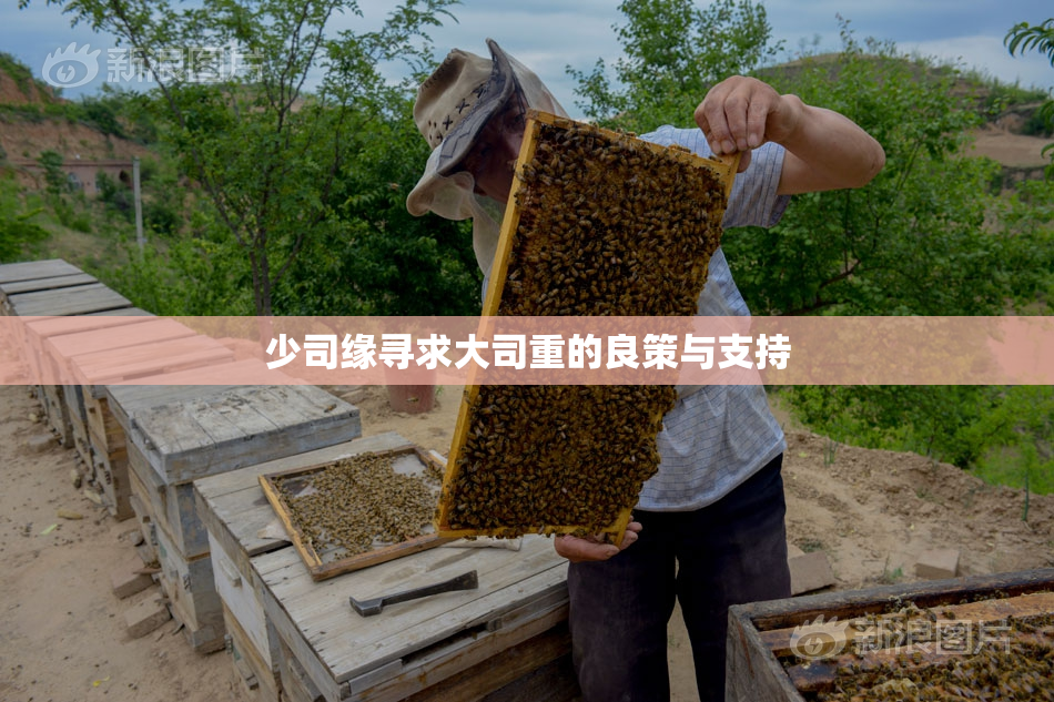 少司缘寻求大司重的良策与支持
