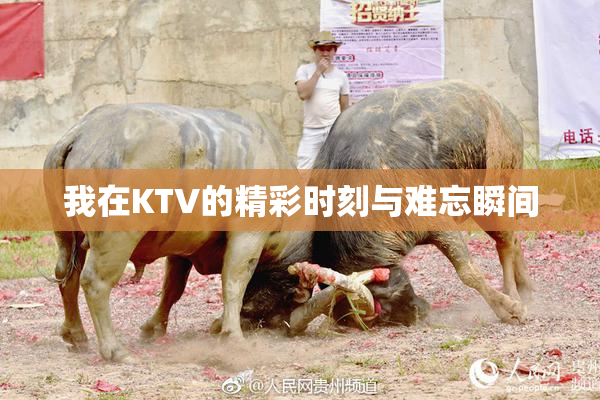 我在KTV的精彩时刻与难忘瞬间
