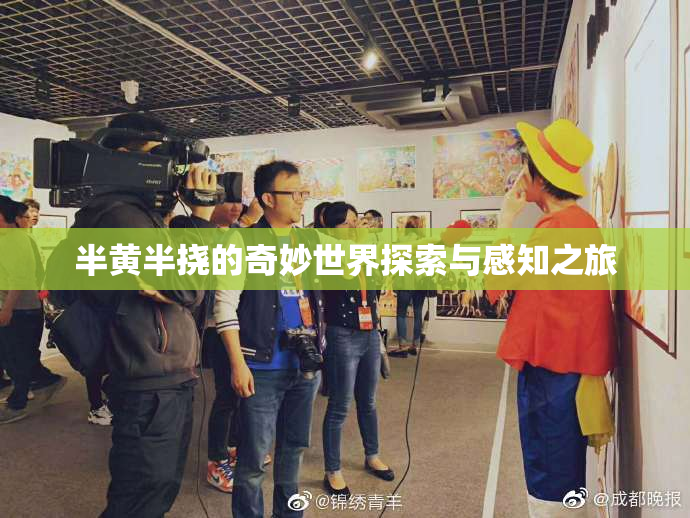 半黄半挠的奇妙世界探索与感知之旅